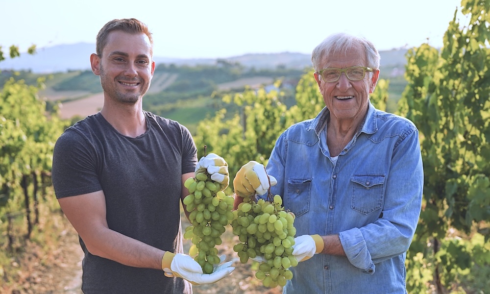 Grandfather and grandson smiling on camera in their vineyard while holding fresh grapes - Harvesting and wine production concept